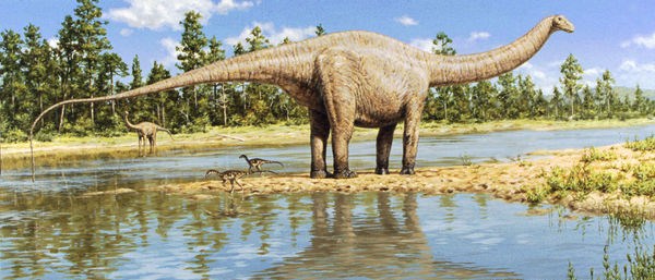 Pavi T'Challa's big vacation. Sauropods